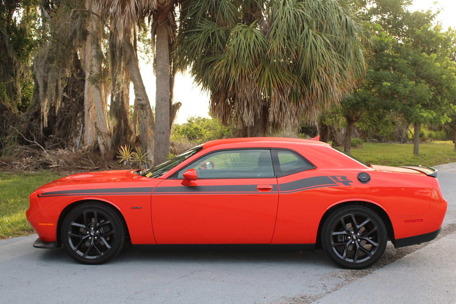 Dodge challenger rt 2019